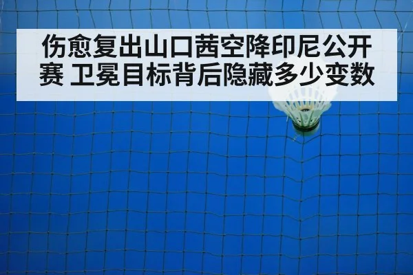 badminton court