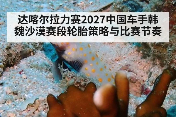 达喀尔拉力赛2027中国车手韩魏沙漠赛段轮胎策略与比赛节奏